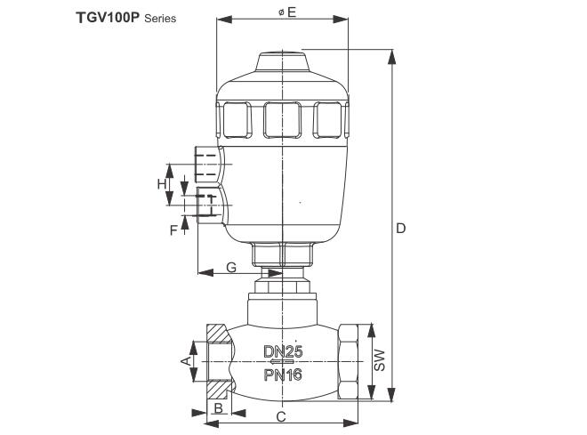 TGV100 Globe Control Valve 4