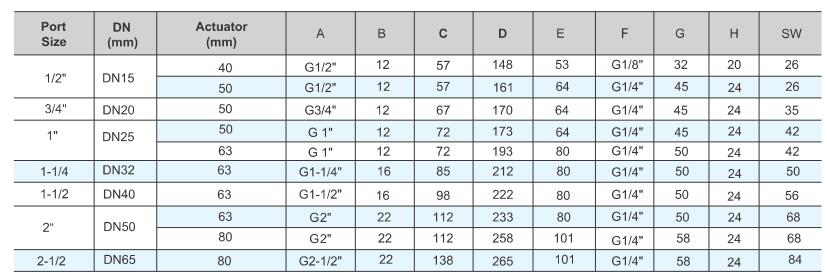 TGV100 Globe Control Valve 5