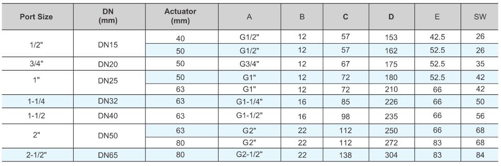 TGV200 Globe Control Valve 5