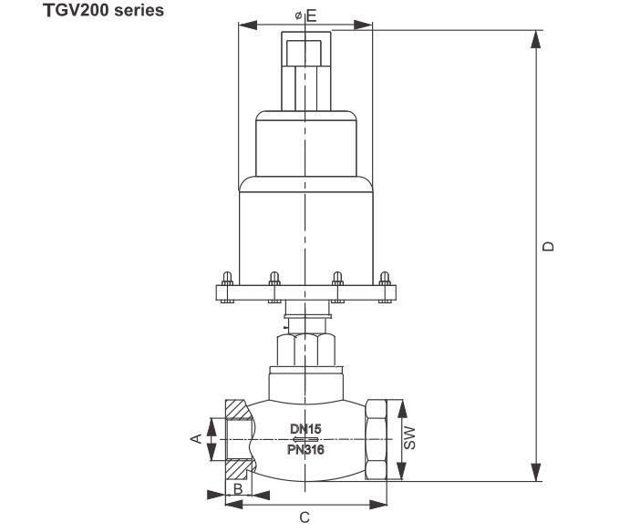 TGV200 Globe Control Valve 4