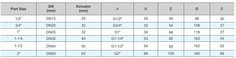 TGV300 Globe Control Valve 5