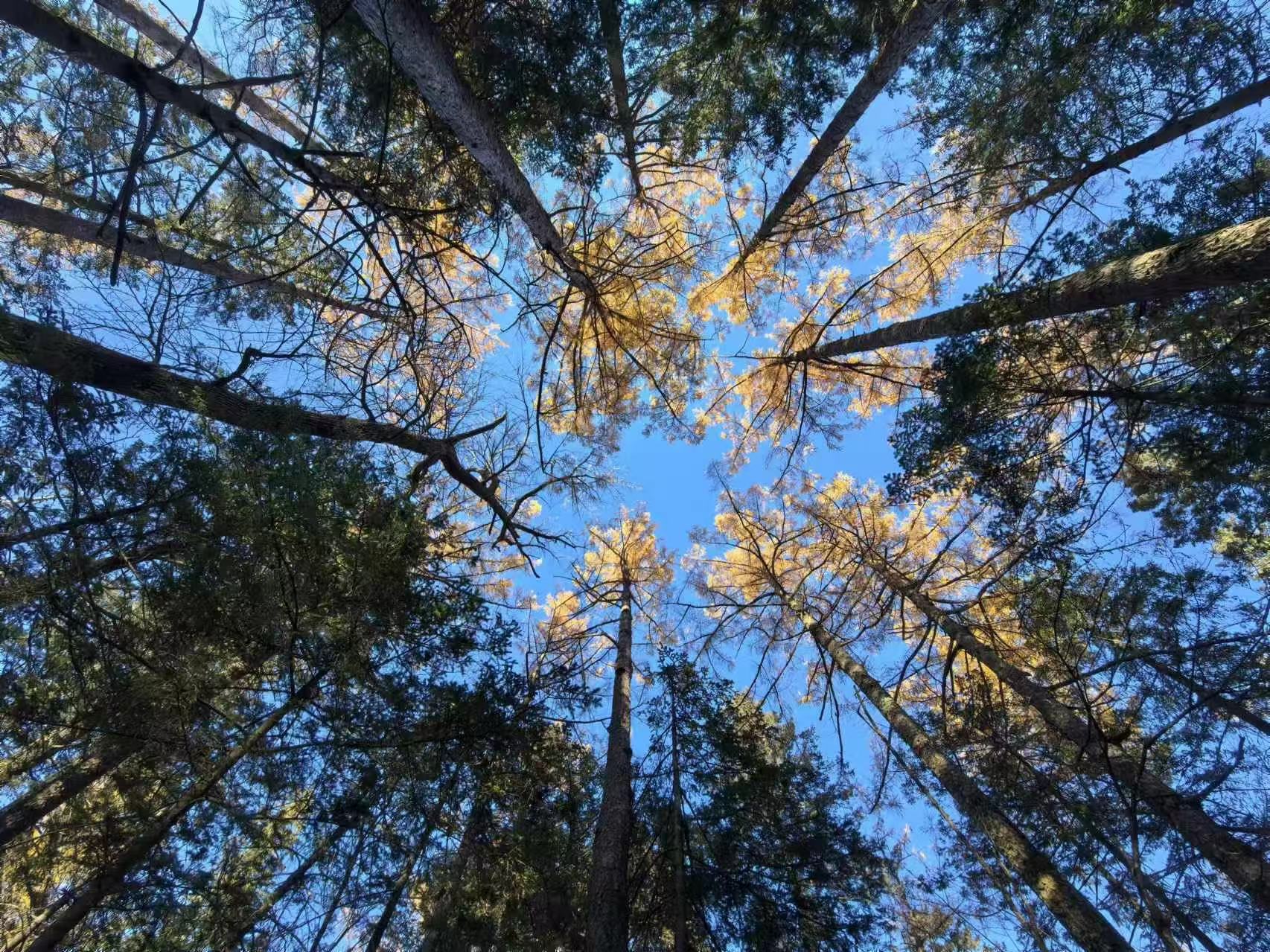 চ্যাং বাই শান-এ হ্যাঙ্কসুগি দল গঠনের ভ্রমণ 5