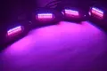 8 Pod RGBW LED Rock Lights - Multicolor Underglow Kit with Music Mode 5