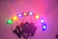 RGBW 8 Pods Offroad LED Rock Lights - Waterproof and Easy Installation 6