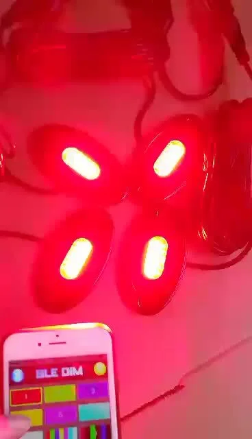 Kingshowstar - 4 Piece 24 LEDs Per RGBW Rock Lights With Blue-tooth controller led top level 24W rock light 1