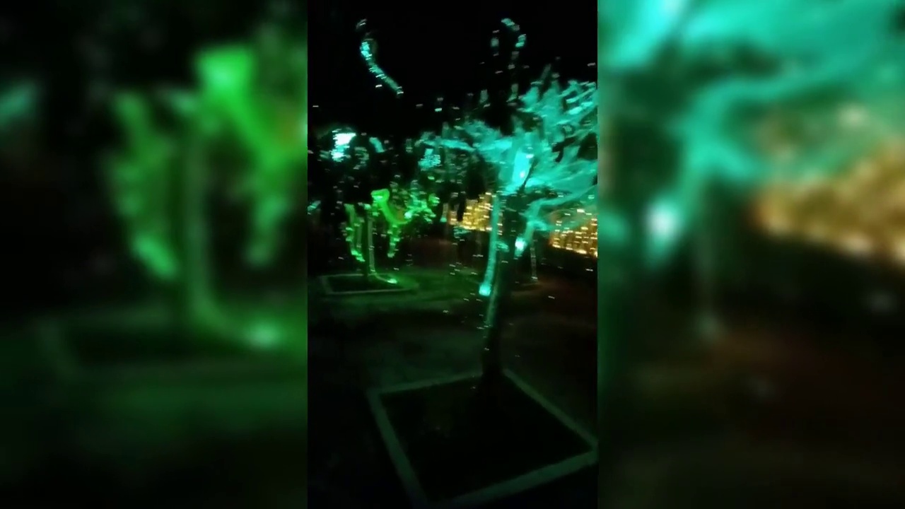 Waterproof rust proof rgb color changing led willow fiber optic light tree 13