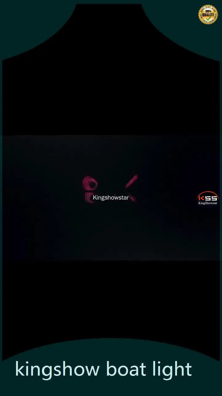 Custom made best rgbw rock lights factory price | Kingshowstar 1