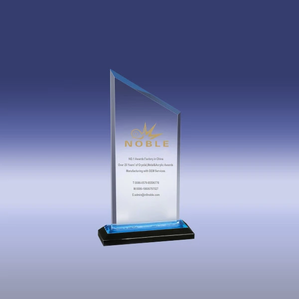 Custom made Blue Peak Reflection Acrylic Award 1