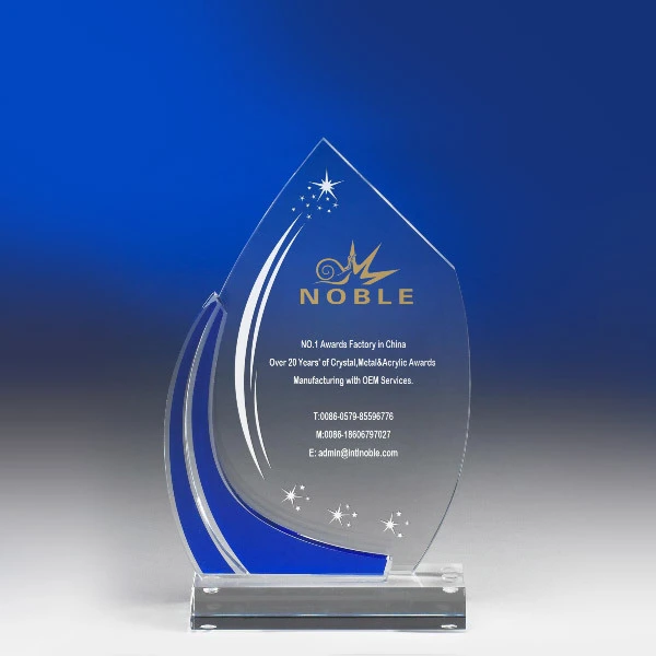 Customized True Star Acrylic Trophy Award 1