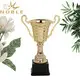 at discount gold trophy cup metal supplier For Sport games 2