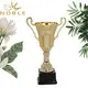 Noble Awards high-quality custom cup trophy free sample For Sport games 3
