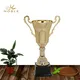 Noble Awards high-quality custom cup trophy free sample For Sport games 4