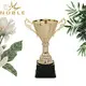 Noble Awards metal custom cup trophy buy now For Sport games 3