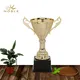 Noble Awards metal custom cup trophy buy now For Sport games 4