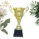 Noble Awards metal trophy cup for wholesale For Gift 3