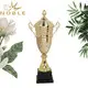 Noble Awards metal champions cup trophy for wholesale For Sport games 3