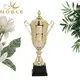 Noble Awards metal custom cup trophy customization For Awards 4