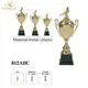 Noble Awards high-quality metal football trophy supplier For Sport games 2