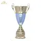 Noble Awards Aluminum trophy metal with Gift Box For Awards 4