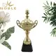 Noble Awards at discount sports cups and trophies free sample For Awards 3