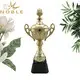 Noble Awards high-quality sports cups and trophies bulk production For Gift 3