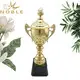 Noble Awards on-sale custom cup trophy customization For Sport games 4