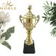 portable large trophy cup metal free sample For Awards 3