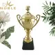 Noble Awards latest football world cup trophy customization For Sport games 3