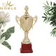 Noble Awards metal personalized trophy cup get quote For Awards 3