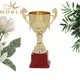 Noble Awards metal large metal trophy cup get quote For Awards 3