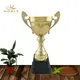 Noble Awards solid mesh sports cup trophy get quote For Gift 2
