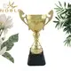 Noble Awards solid mesh sports cup trophy get quote For Gift 4