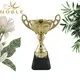 Noble Awards metal award cups trophies ODM For Sport games 3