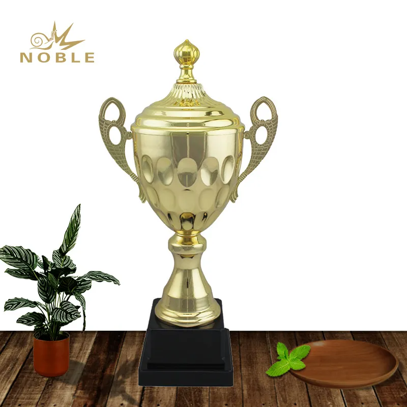 Noble Awards high-quality champion trophy customization For Gift 4
