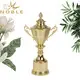 Noble Awards portable bespoke cup trophy bulk production For Gift 4