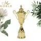 Noble Awards metal large metal trophy cup for wholesale For Gift 2