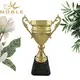 Noble Awards funky metal cup trophy buy now For Awards 3