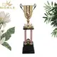 Noble Awards metal cup trophy ODM For Gift 2