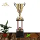 Noble Awards metal cup trophy ODM For Gift 4