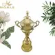 Noble Awards metal silver trophy cup bulk production For Gift 3