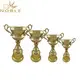 Noble Awards funky cup trophy customization For Gift 2
