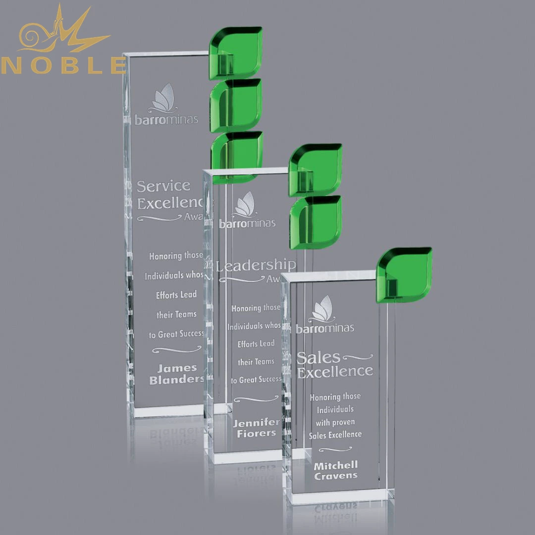 Noble High Quality Custom Optical Crystal Bernadette Award 1