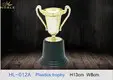 Noble Awards funky free sample For Gift 2