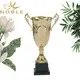Noble Awards metal Trophy Cups customization For Sport games 3