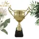 latest metal cup trophy metal customization For Sport games 3