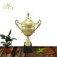 Noble Awards latest Trophy Cups ODM For Sport games 4