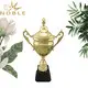 Noble Awards latest Trophy Cups ODM For Sport games 3