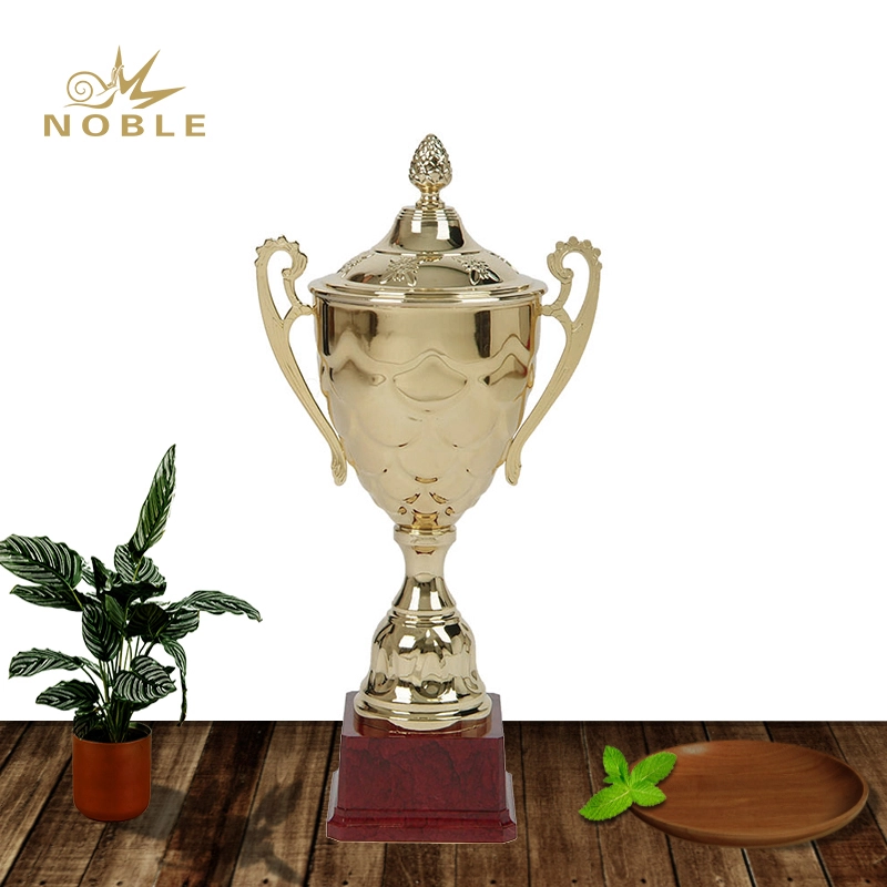 Beautiful Design Metal Cup Quiz Champion Trophy for Students 1