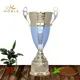 Noble Awards metal Trophy Cups buy now For Sport games2 4