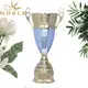 Noble Awards metal Trophy Cups buy now For Sport games2 2